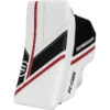 Warrior Ritual G6 Pro+ Senior Goalie Blocker (2022) - Regular